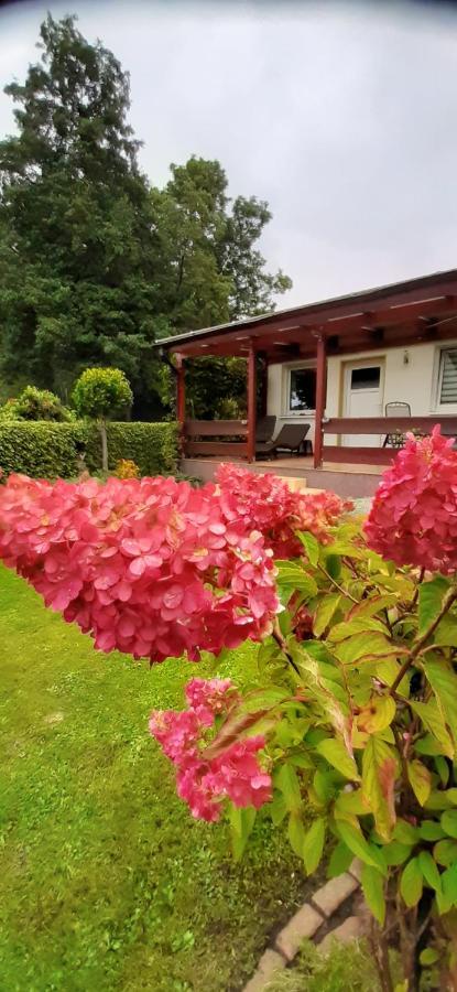 Bungalow Idylle Am See Neuruppin Εξωτερικό φωτογραφία