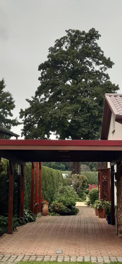 Bungalow Idylle Am See Neuruppin Εξωτερικό φωτογραφία