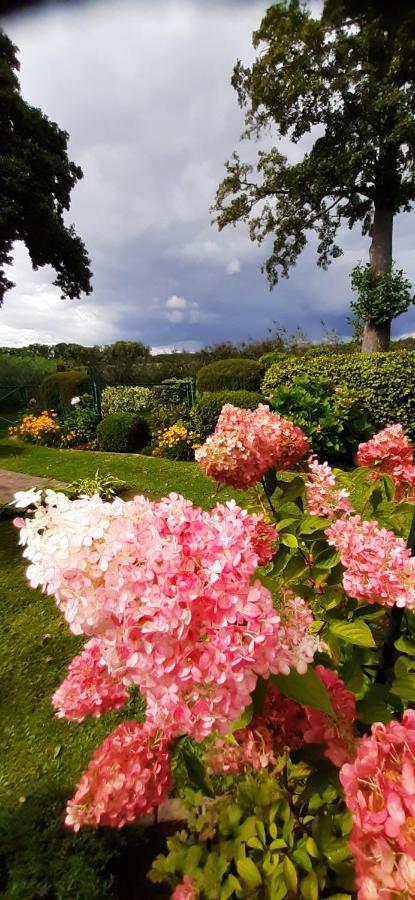 Bungalow Idylle Am See Neuruppin Εξωτερικό φωτογραφία