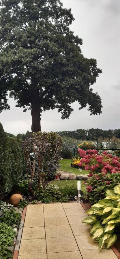 Bungalow Idylle Am See Neuruppin Εξωτερικό φωτογραφία
