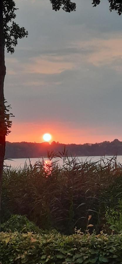 Bungalow Idylle Am See Neuruppin Εξωτερικό φωτογραφία