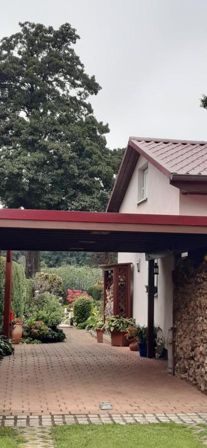 Bungalow Idylle Am See Neuruppin Εξωτερικό φωτογραφία